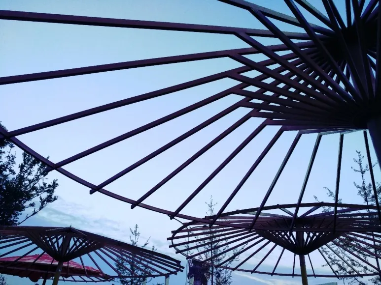 Rib structure of a canopy seen from below